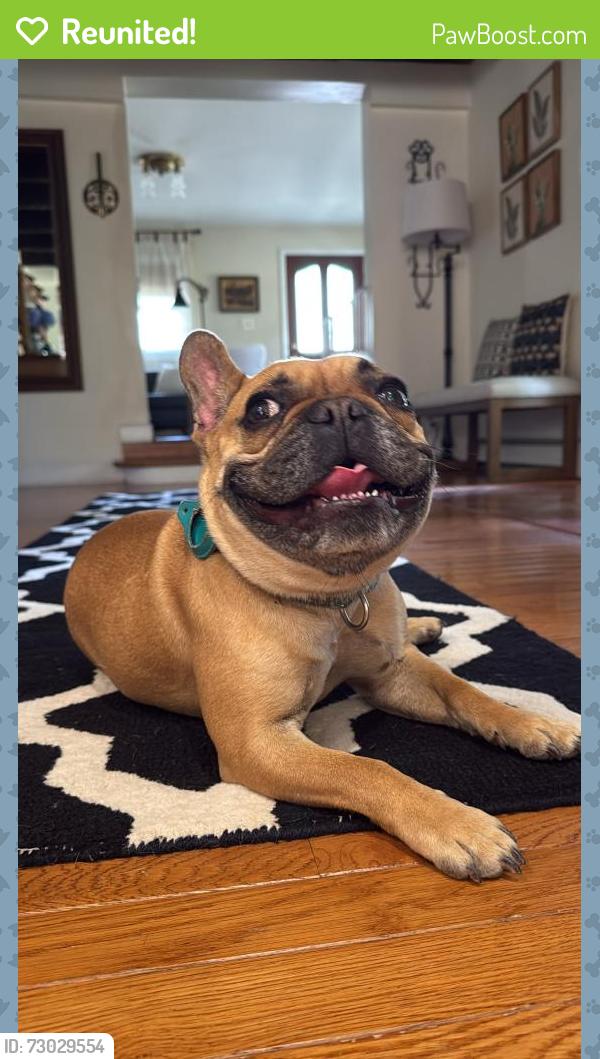 Reunited Male Dog last seen Fresh Ponds Rd and Old Davidson Mill Rd, Monroe Township, NJ 08831