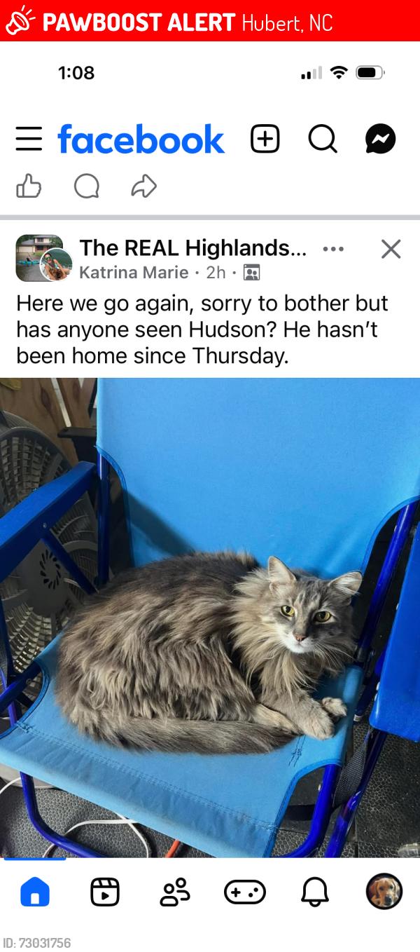 Lost Male Cat last seen Highland at Queens Creek, Hubert, NC 28539