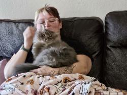 Lost Male Cat last seen 27th St, Moore, OK 73160