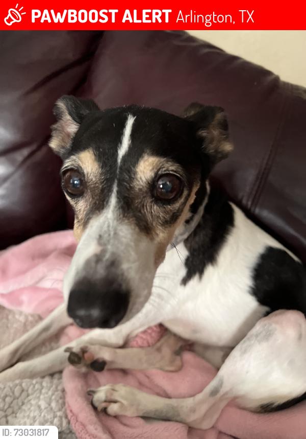 Lost Female Dog last seen By the baroncrest and timbercrest sign, Arlington, TX 76017