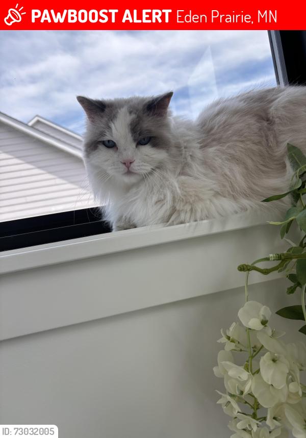 Lost Male Cat last seen Reeder Ridge, Eden Prairie, MN 55347
