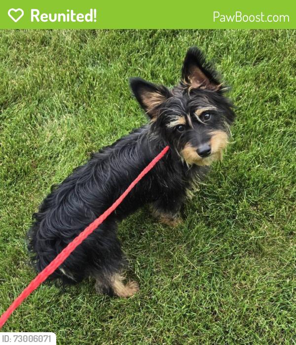 Reunited Male Dog last seen Long Pond/Edgemere, Greece, NY 14612