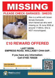 Reunited Female Cat last seen Empress Road Wallasey, Surrey Hills, VIC 3127
