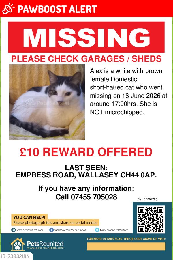 Lost Female Cat last seen Empress Road Wallasey, Merseyside, England CH44