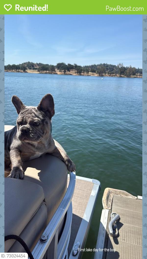 Reunited Male Dog last seen Western ave, Los Angeles, CA 90047