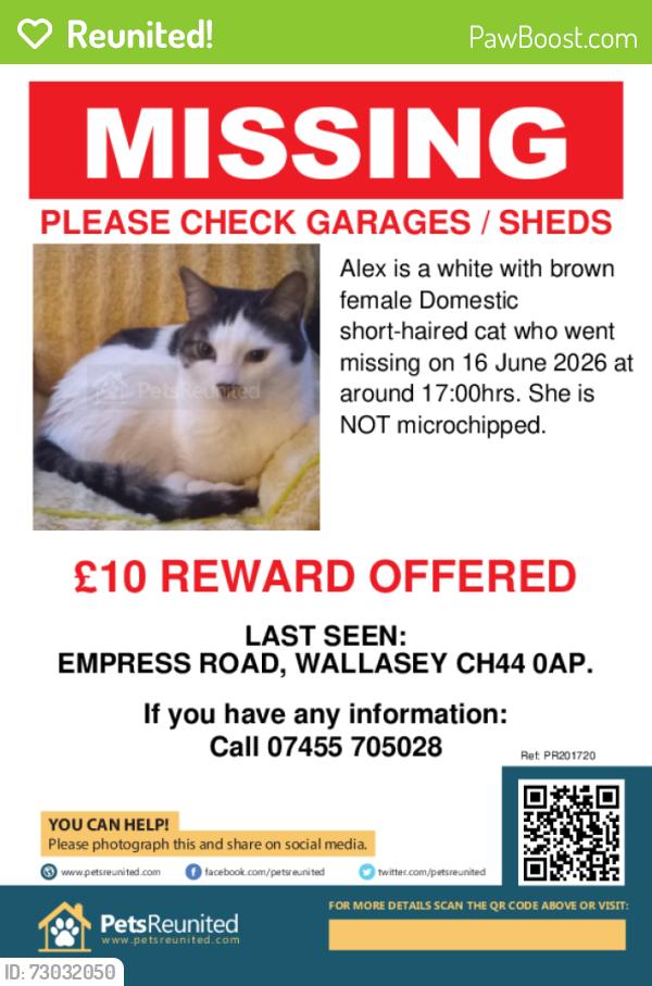 Reunited Female Cat last seen Empress Road Wallasey, Surrey Hills, VIC 3127