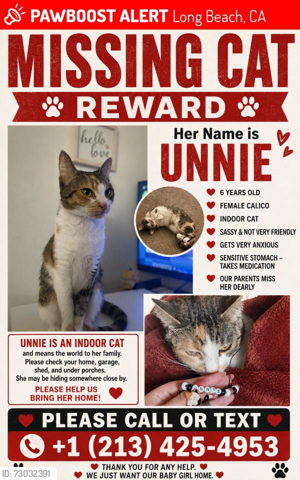 Lost Female Cat last seen E Ellis and Long Beach blvd, Long Beach, CA 90805