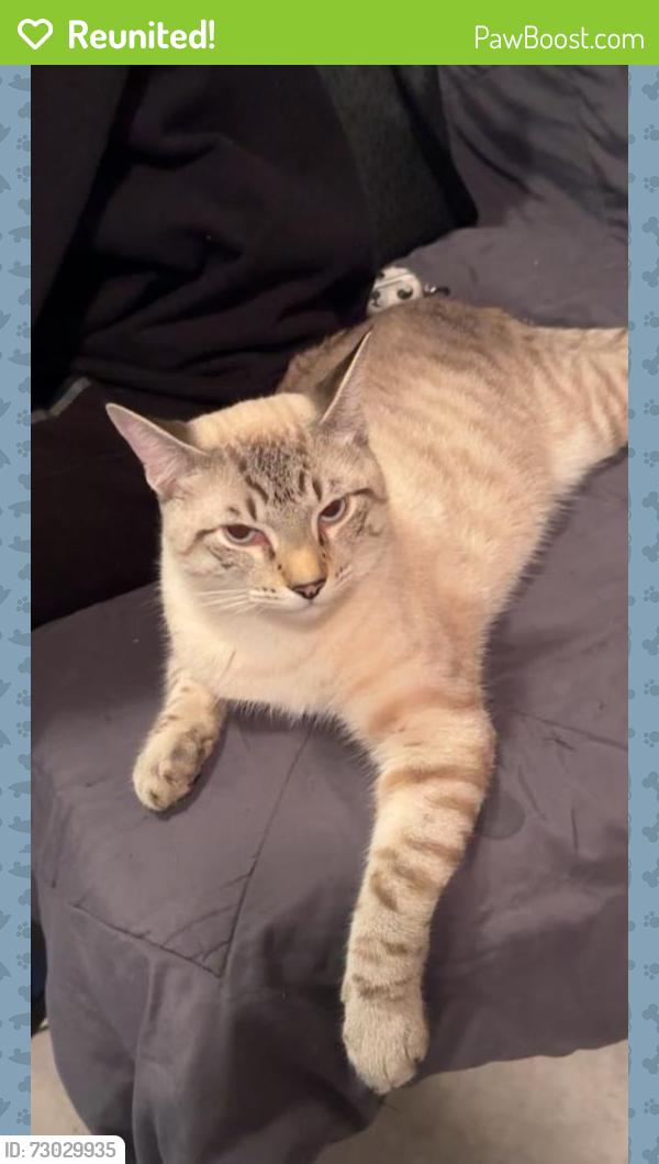 Reunited Male Cat last seen 90th place , 24Th Road East Elmhurst , Queens, NY 11369