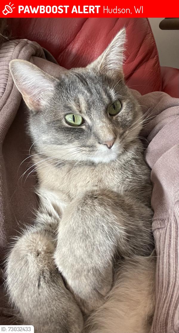 Lost Female Cat last seen Packer Dr or McCutcheon, Hudson, WI 54016
