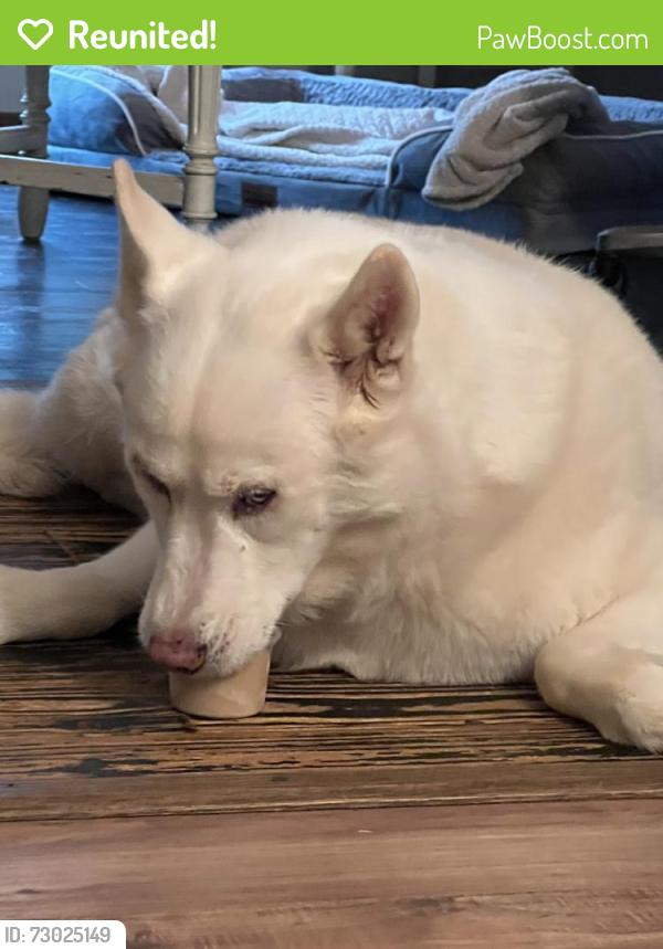 Reunited Female Dog last seen Near King Dr SE, Conyers, GA 30094, USA, Conyers, GA 30094