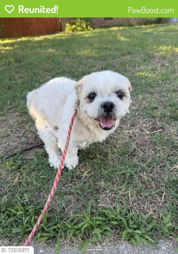 Reunited Male Dog last seen New colony , Virginia Beach, VA 23464
