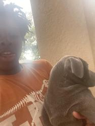 Lost Male Dog last seen Roanoke springs Dr, Ruskin, FL 33570