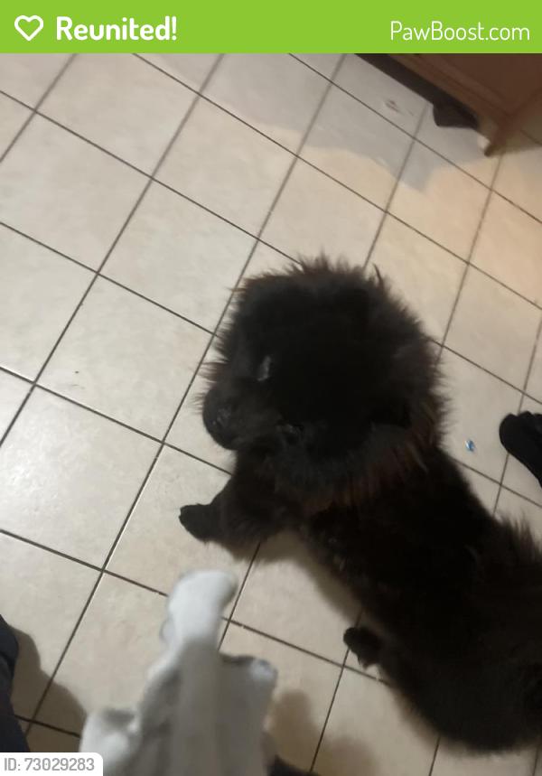 Reunited Male Dog last seen Near 38th St, San Diego, CA 92105, USA, San Diego, CA 92105