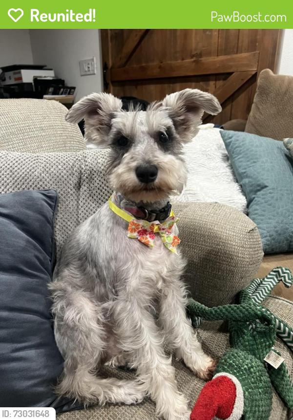 Reunited Female Dog last seen Leland & Mary, Riverside, CA 92506