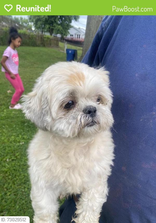Reunited Male Dog last seen Humes and Farnham, Florissant, MO 63033