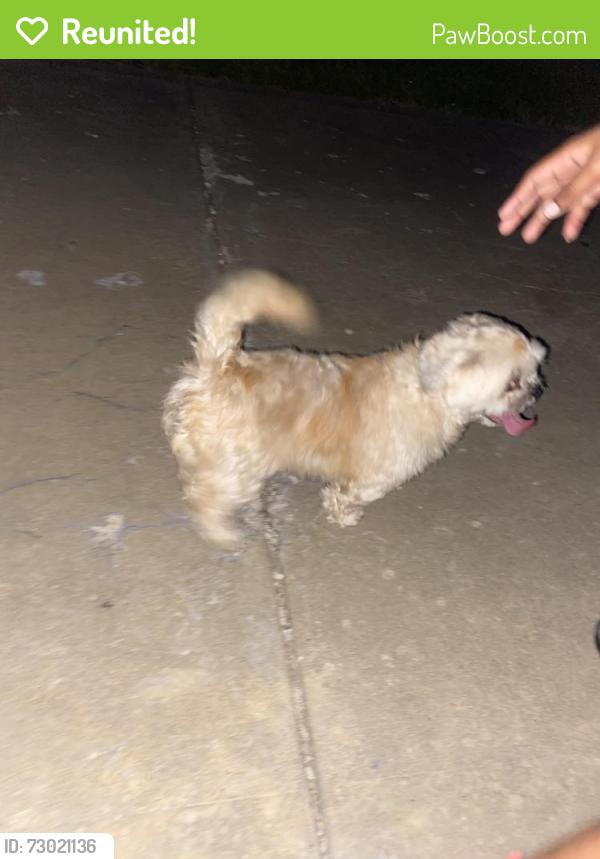 Reunited Female Dog last seen Farnham lane, Florissant, MO 63031