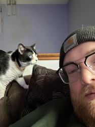 Lost Male Cat last seen Hill st and aldbourne drive, Bristol, CT 06010