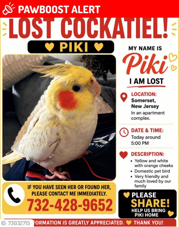 Lost Female Bird last seen Near Easton avenue , Franklin Township, NJ 08873