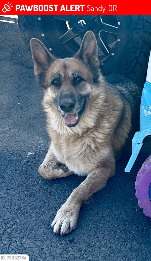 Lost Male Dog last seen Near se Hudson rd Sandy OR 97055, Sandy, OR 97055