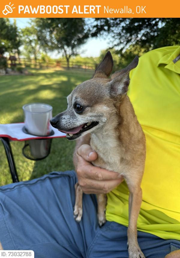 Found/Stray Male Dog last seen Lakeview and Rolling Meadow, Newalla, OK 74857