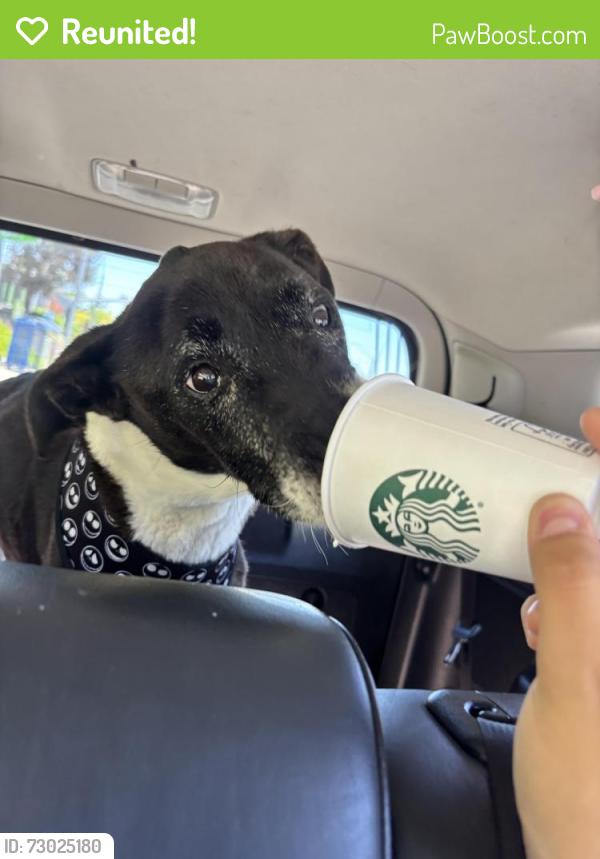 Reunited Male Dog last seen W Los Angeles Dr, N Melrose Dr, Vista, CA 92083