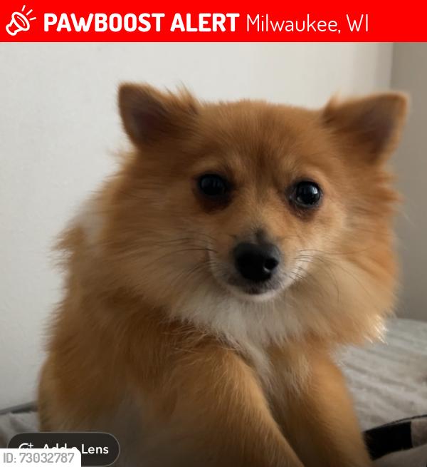 Lost Female Dog last seen N/A, Milwaukee, WI 53218