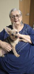 Lost Male Dog last seen Lafitte landing , Lafayette, LA 70508