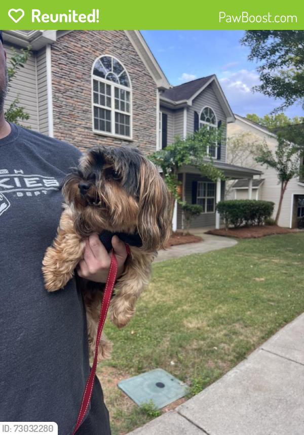 Reunited Male Dog last seen Near Coachmans Trace, Cornelius, NC 28031, USA, Cornelius, NC 28031