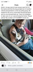 Lost Male Dog last seen 148th burnside , Portland, OR 97230
