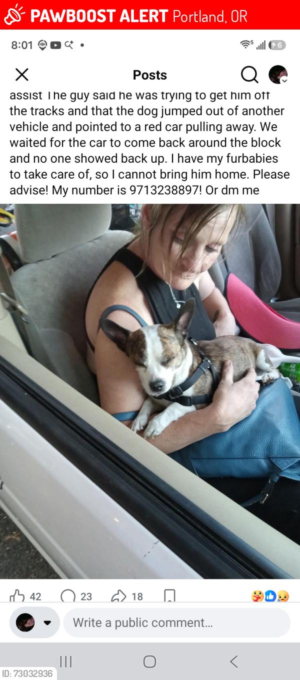 Lost Male Dog last seen 148th burnside , Portland, OR 97230