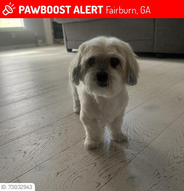 Lost Male Dog last seen Waterlace Drive at the Lakes at Cedar Grove, Fairburn, GA 30213