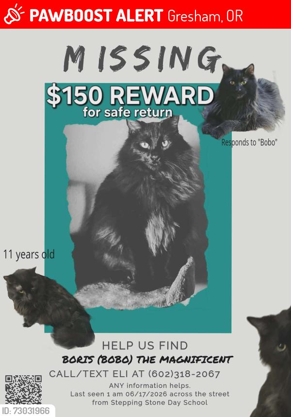 Lost Male Cat last seen Stepping Stone Day School, Gresham, OR 97080