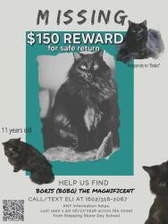 Lost Male Cat last seen Stepping Stone Day School, Gresham, OR 97080