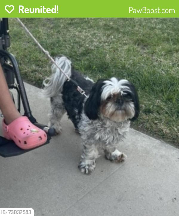 Reunited Female Dog last seen J street and Paseo Ranchero , Chula Vista, CA 91910