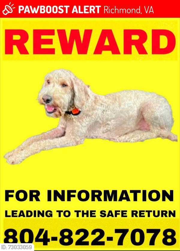 Lost Female Dog last seen Ivrybridge crossing, Richmond, VA 23236