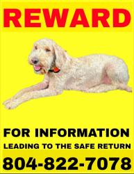 Lost Female Dog last seen Ivrybridge crossing, Richmond, VA 23236