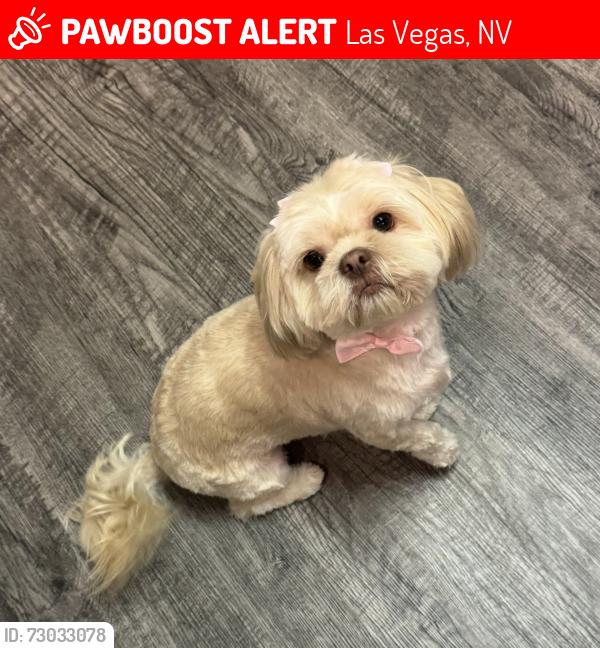 Lost Female Dog last seen Near Hercules Dr, Las Vegas, NV 89128