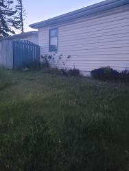 Found/Stray Unknown Cat last seen Stop sign on trollinger st ne ab, Calgary, AB T2K
