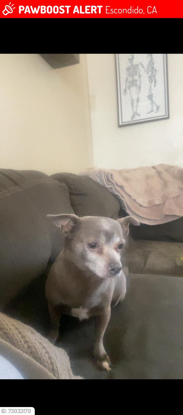 Lost Male Dog last seen Midway, Escondido, CA 92027