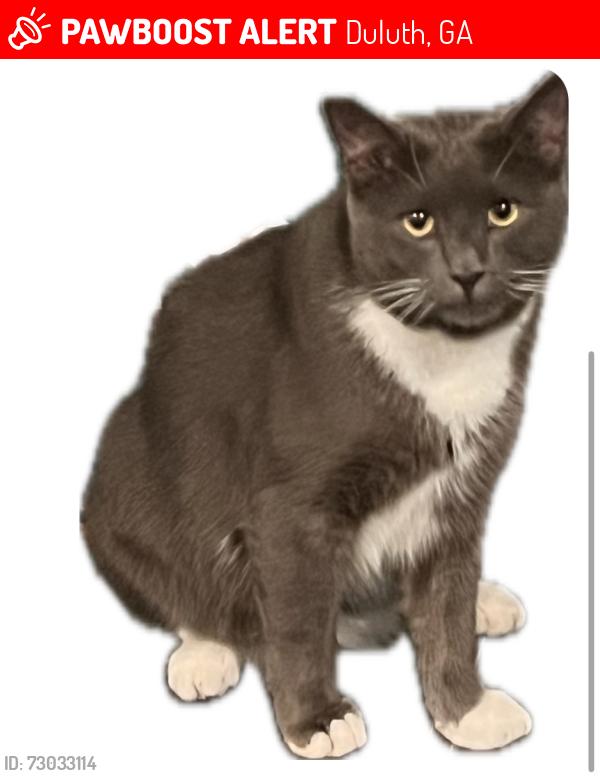 Lost Male Cat last seen Race trac, Duluth, GA 30097