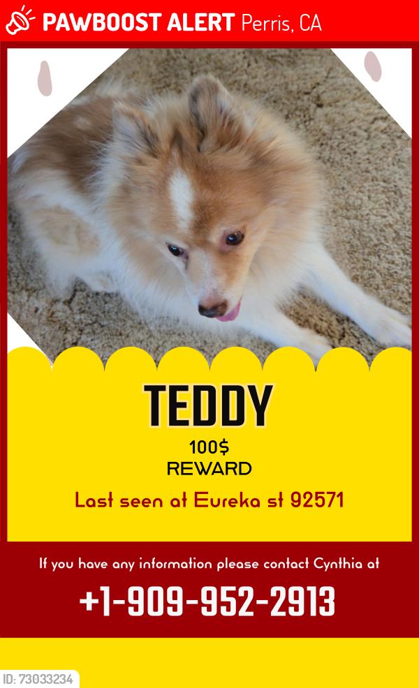 Lost Male Dog last seen Eureka street, Perris, CA 92571