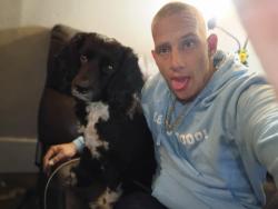 Reunited Male Dog last seen Near w Gardner ave , Spokane, WA 99201