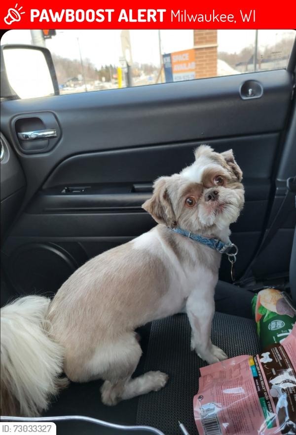 Lost Male Dog last seen 6th and Oklahoma Ave , Milwaukee, WI 53215