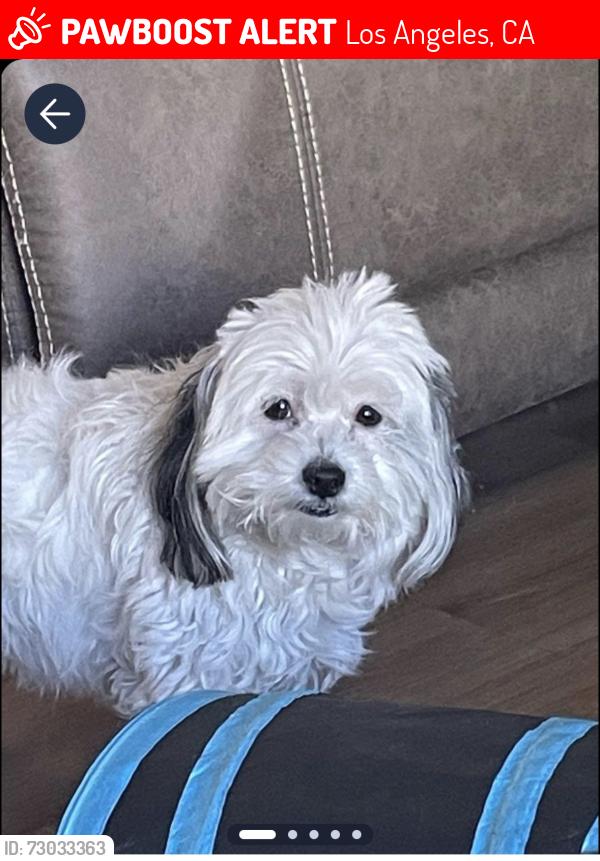 Lost Female Dog last seen Near Rinaldi st and ruffner, Los Angeles, CA 91344