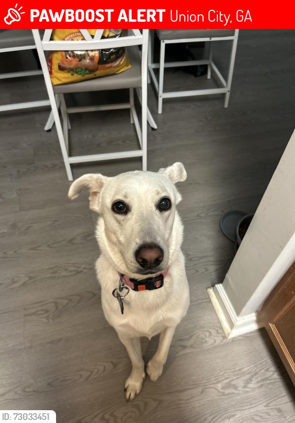 Lost Female Dog last seen Westbrook RD/ E Houston DR by Christopher tire , Union City, GA 30291