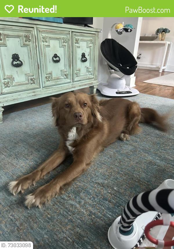 Reunited Female Dog last seen Near Farmland Road , Charlotte, NC 28226
