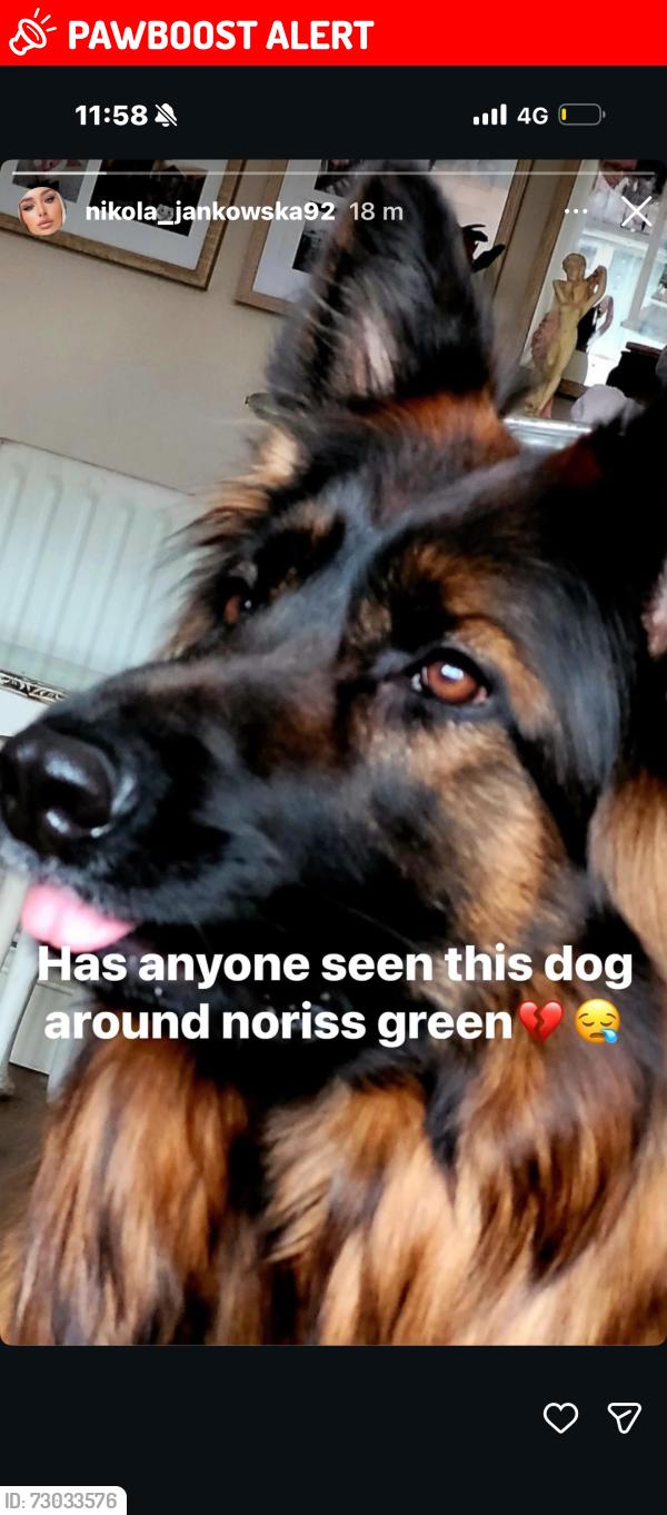 Lost Female Dog last seen Dwerry hse lane, Merseyside, England L11
