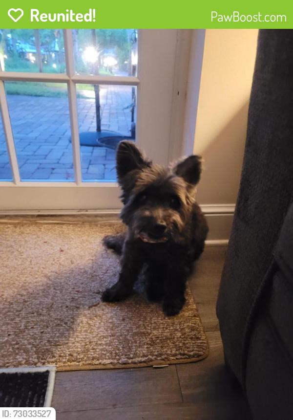 Reunited Male Dog last seen Lakeshore Dr Marina Key, Lake Park, FL 33403