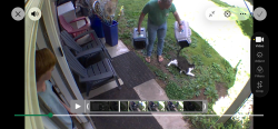 Lost Male Cat last seen Wake Robin Drive, Cockeysville, MD 21030, Cockeysville, MD 21030