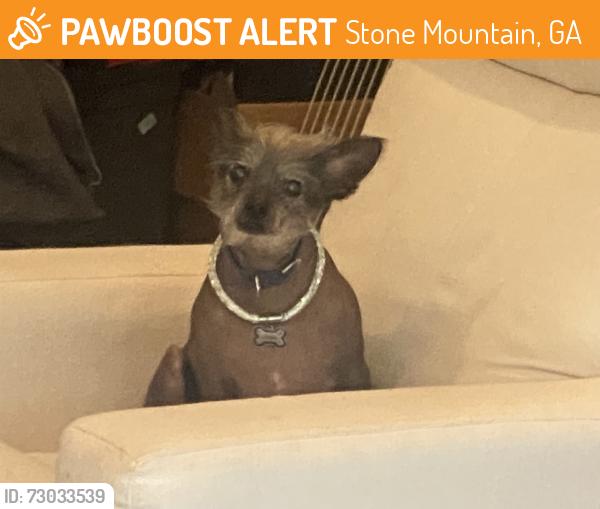 Surrendered Female Dog last seen Near Riverbirch Trace Stone Mountain GA 30087 - Mountain Oaks Pkwy., Stone Mountain, GA 30087